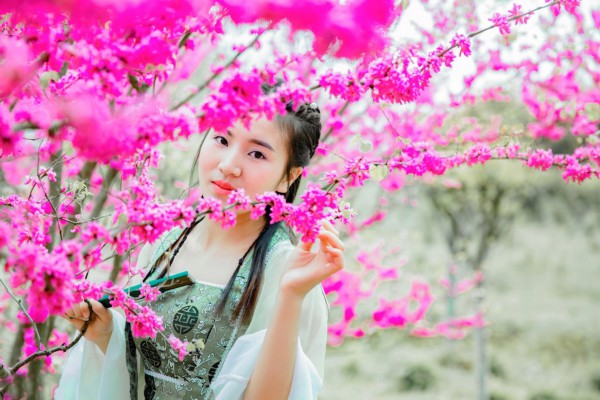 品茗论道养生坊,杭州茶夜生活新体验 品茗论道养生坊,杭州茶夜生活新体验