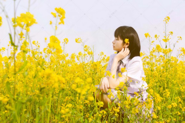 杭州女士专属按摩保健,价格透明享健康之美 杭州女士专属按摩保健,价格透明享健康之美