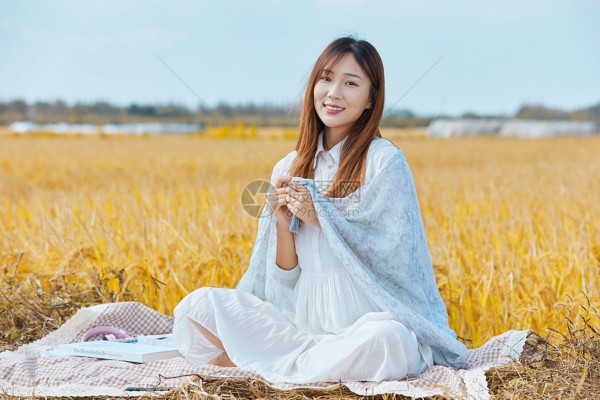 车前草子：千年草药，守护现代健康之道